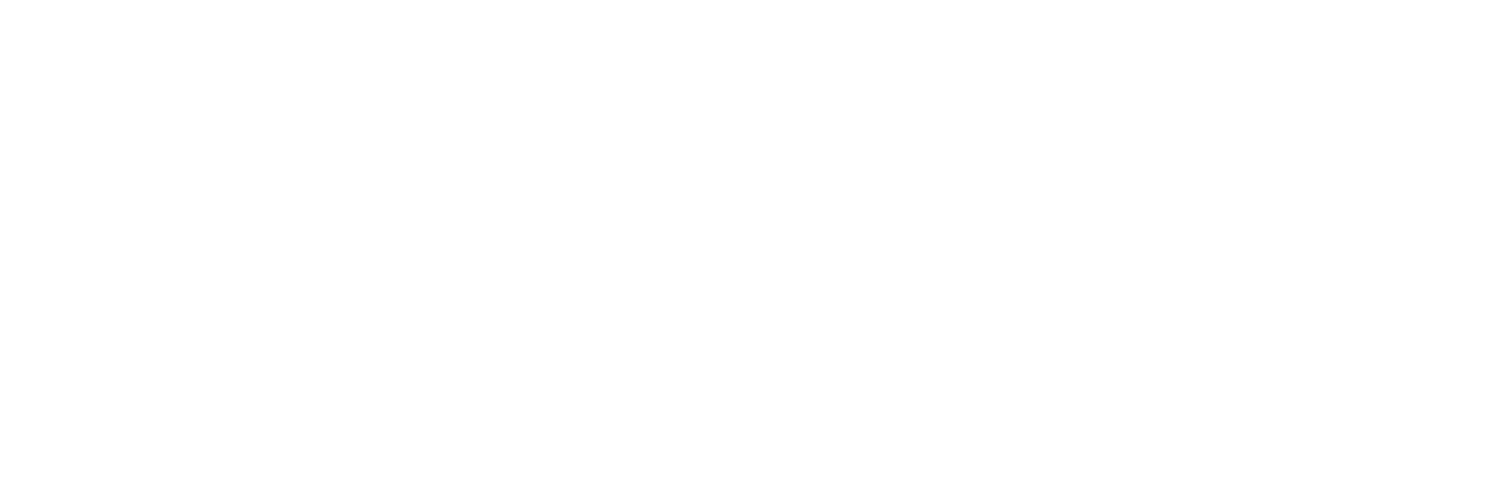 PLS Logo White-1
